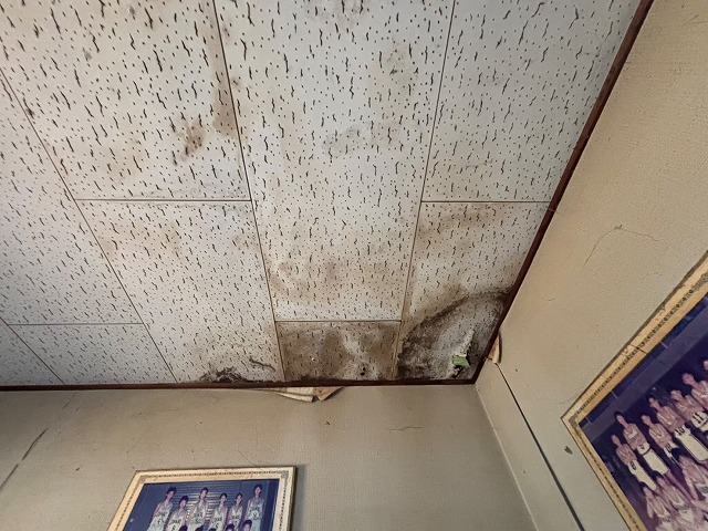 つくばみらい市で雨漏りの戸建てを調査 今後の修繕方針を提案しました。